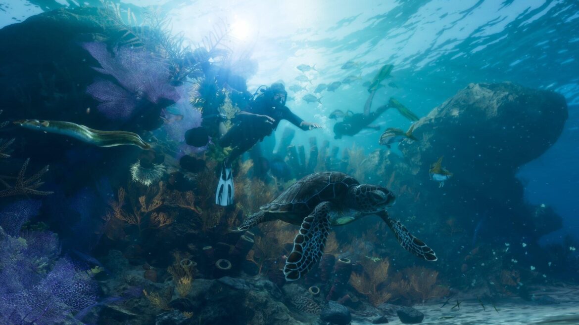 gta-6-mergulho-oceano-animais-aquaticos